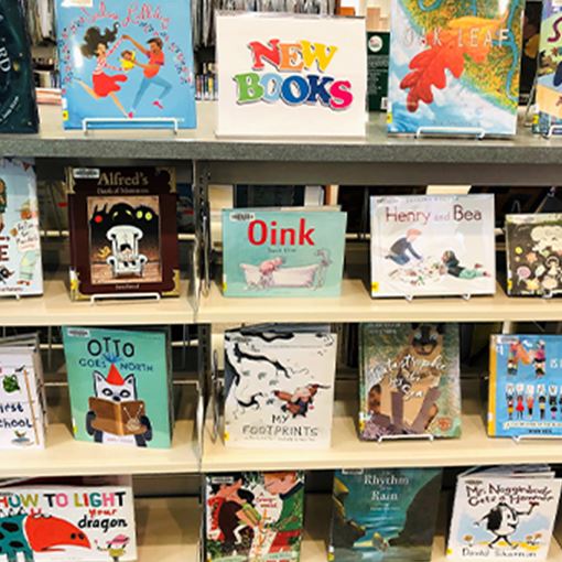 Library books on shelves