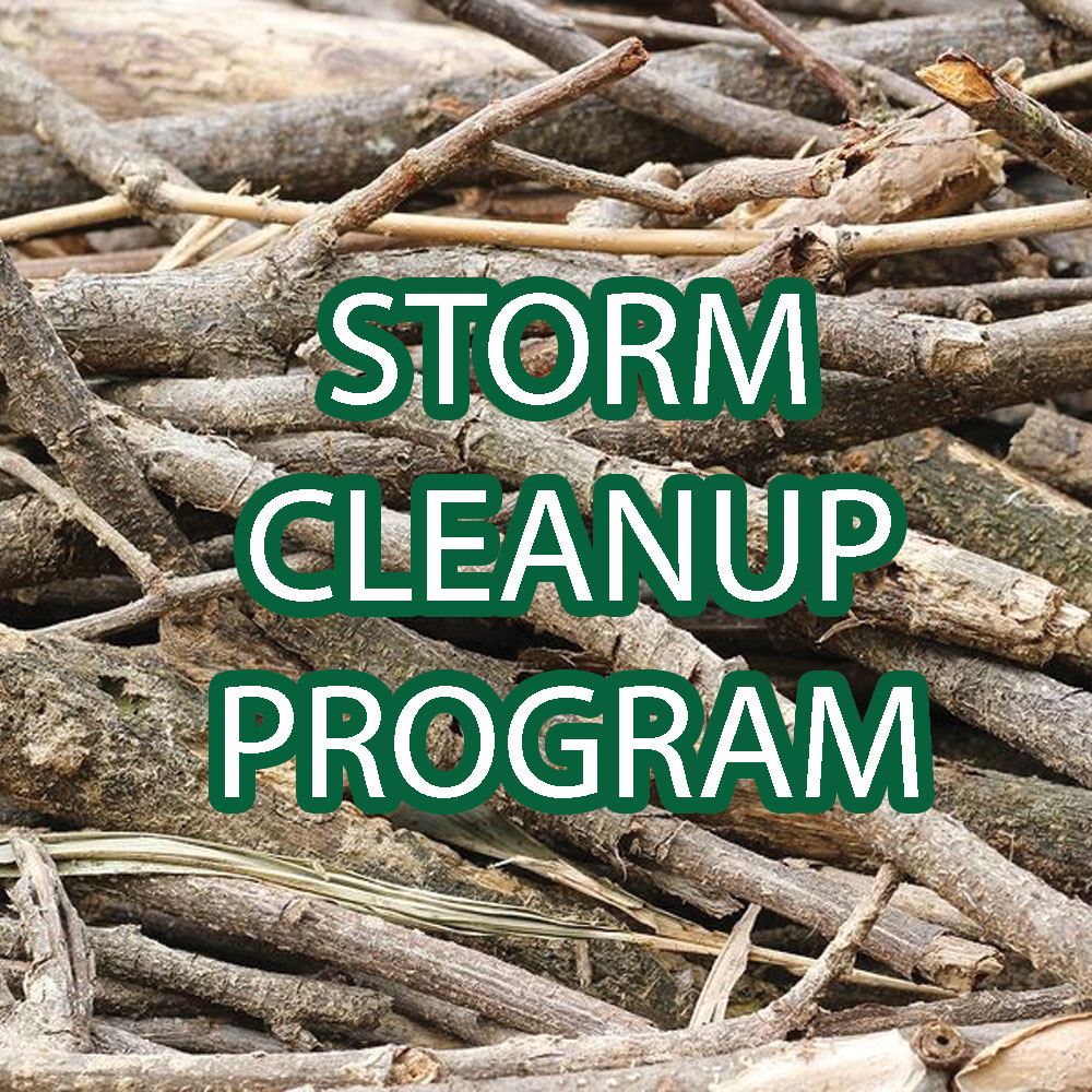 Storm Cleaup Program (JPG)