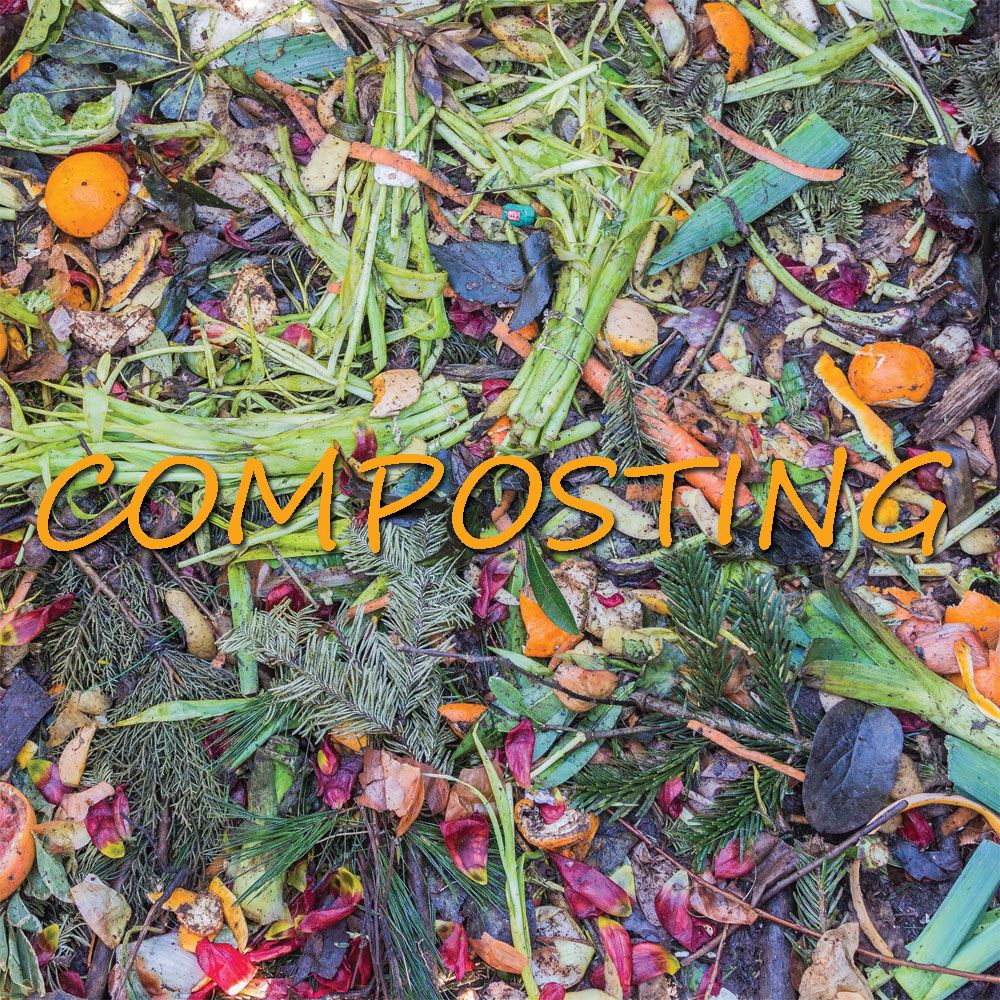 Composting (JPG)