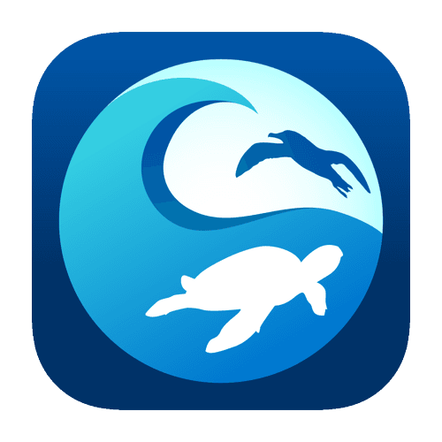 CleanSwell App (PNG)