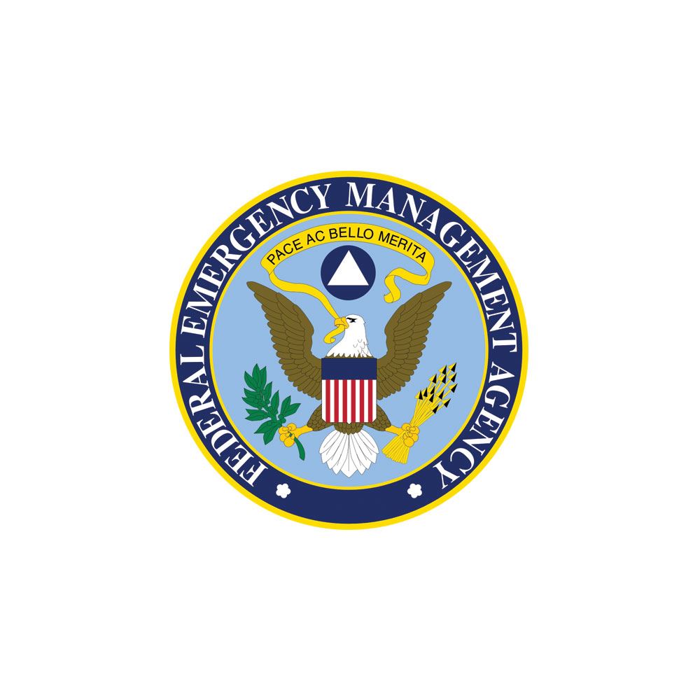 Seal Federal Emergency Management Agency (FEMA) (JPG)