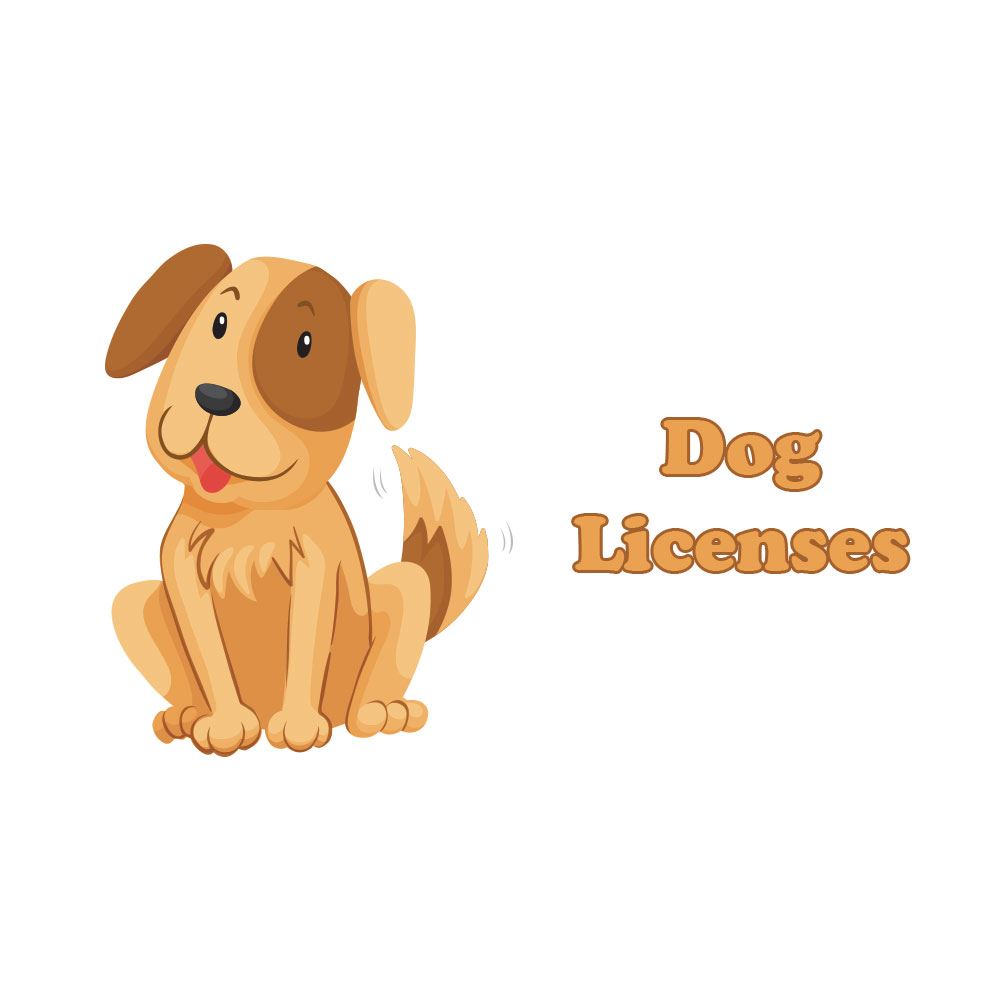 Dog Licenses 1000x1000 (JPG)